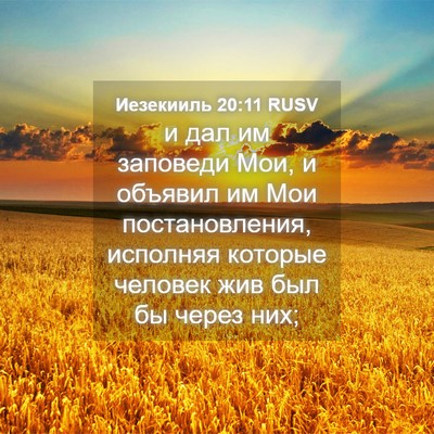Picture 04 - Иезекииль 20:11 RUSV - и дал им заповеди Мои, и - Bible Verse Picture
