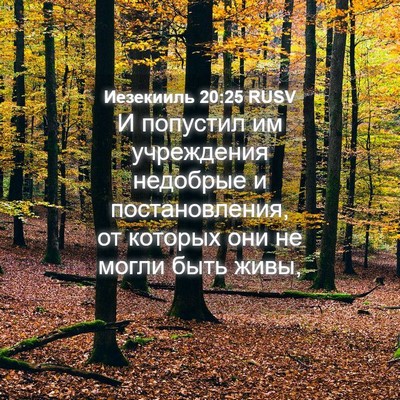Picture 04 - Иезекииль 20:25 RUSV - И попустил им учреждения - Bible Verse Picture