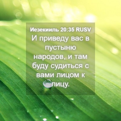 Picture 04 - Иезекииль 20:35 RUSV - И приведу вас в пустыню - Bible Verse Picture
