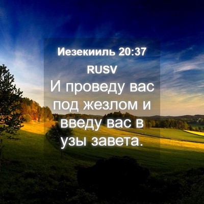 Picture 04 - Иезекииль 20:37 RUSV - И проведу вас под жезлом и - Bible Verse Picture