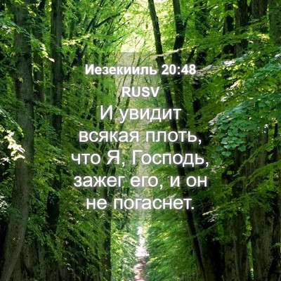Picture 04 - Иезекииль 20:48 RUSV - И увидит всякая плоть, что - Bible Verse Picture