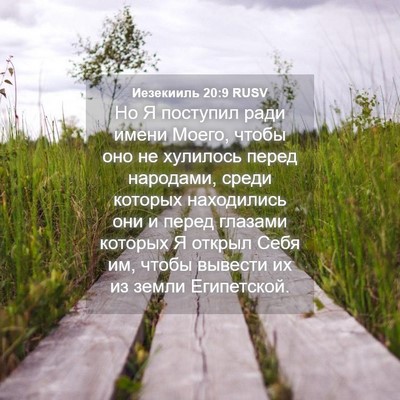 Picture 04 - Иезекииль 20:9 RUSV - Но Я поступил ради имени - Bible Verse Picture