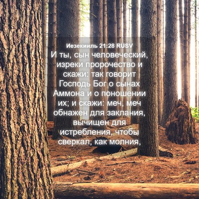 Picture 04 - Иезекииль 21:28 RUSV - И ты, сын человеческий, - Bible Verse Picture