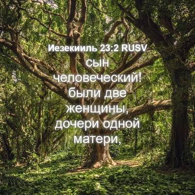Picture 04 - Иезекииль 23:2 RUSV - сын человеческий! были две - Bible Verse Picture