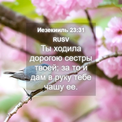 Picture 04 - Иезекииль 23:31 RUSV - Ты ходила дорогою сестры - Bible Verse Picture