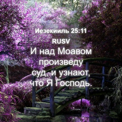 Picture 04 - Иезекииль 25:11 RUSV - И над Моавом произведу суд, - Bible Verse Picture