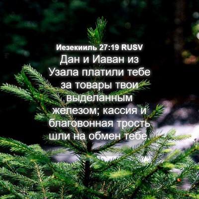 Picture 04 - Иезекииль 27:19 RUSV - Дан и Иаван из Узала - Bible Verse Picture