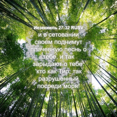 Picture 04 - Иезекииль 27:32 RUSV - и в сетовании своем - Bible Verse Picture