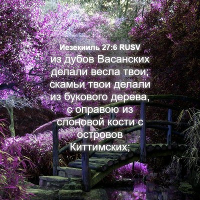 Picture 04 - Иезекииль 27:6 RUSV - из дубов Васанских делали - Bible Verse Picture