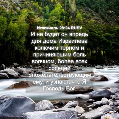 Picture 04 - Иезекииль 28:24 RUSV - И не будет он впредь для - Bible Verse Picture