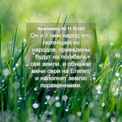 Picture 04 - Иезекииль 30:11 RUSV - Он и с ним народ его, - Bible Verse Picture