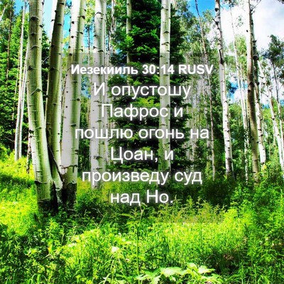Picture 04 - Иезекииль 30:14 RUSV - И опустошу Пафрос и пошлю - Bible Verse Picture