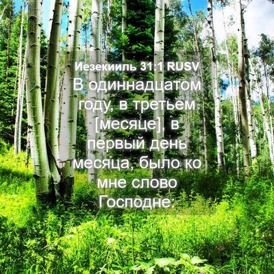 Picture 04 - Иезекииль 31:1 RUSV - В одиннадцатом году, в - Bible Verse Picture