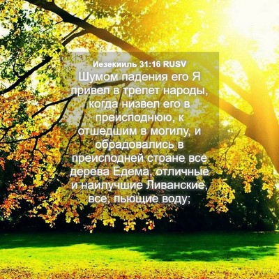 Picture 04 - Иезекииль 31:16 RUSV - Шумом падения его Я привел - Bible Verse Picture