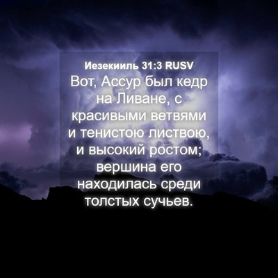 Picture 04 - Иезекииль 31:3 RUSV - Вот, Ассур был кедр на - Bible Verse Picture
