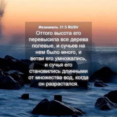 Picture 04 - Иезекииль 31:5 RUSV - Оттого высота его - Bible Verse Picture