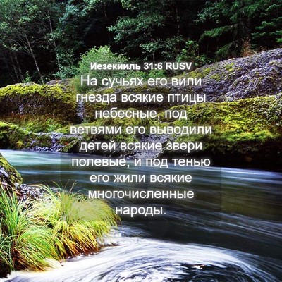 Picture 04 - Иезекииль 31:6 RUSV - На сучьях его вили гнезда - Bible Verse Picture