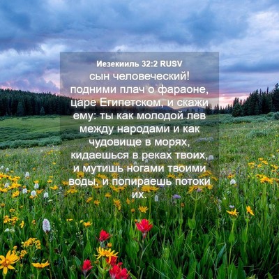 Picture 04 - Иезекииль 32:2 RUSV - сын человеческий! подними - Bible Verse Picture
