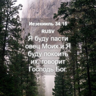 Picture 04 - Иезекииль 34:15 RUSV - Я буду пасти овец Моих и Я - Bible Verse Picture