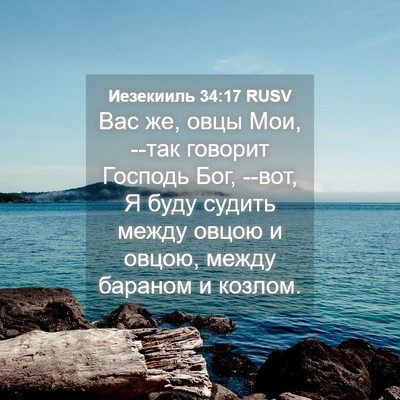 Picture 04 - Иезекииль 34:17 RUSV - Вас же, овцы Мои, --так - Bible Verse Picture