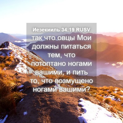 Picture 04 - Иезекииль 34:19 RUSV - так что овцы Мои должны - Bible Verse Picture