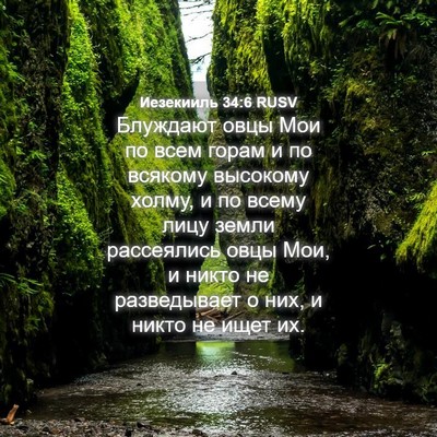 Picture 04 - Иезекииль 34:6 RUSV - Блуждают овцы Мои по всем - Bible Verse Picture