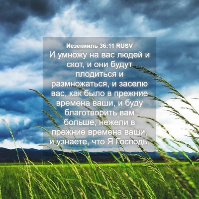 Picture 04 - Иезекииль 36:11 RUSV - И умножу на вас людей и - Bible Verse Picture