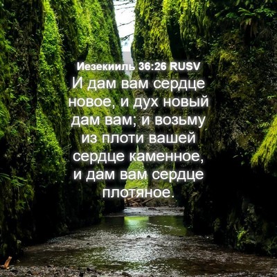 Picture 04 - Иезекииль 36:26 RUSV - И дам вам сердце новое, и - Bible Verse Picture
