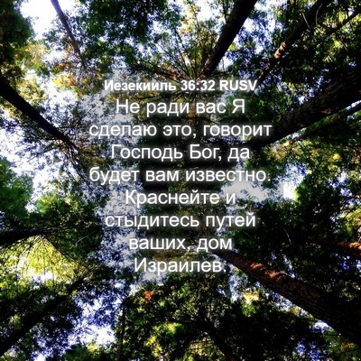 Picture 04 - Иезекииль 36:32 RUSV - Не ради вас Я сделаю это, - Bible Verse Picture