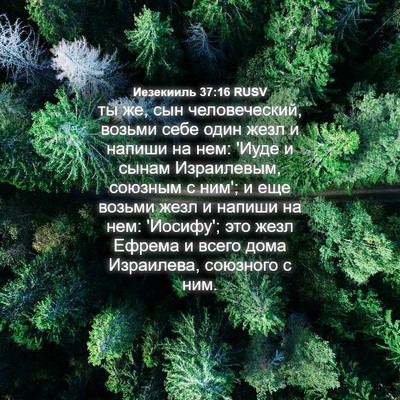 Picture 04 - Иезекииль 37:16 RUSV - ты же, сын человеческий, - Bible Verse Picture