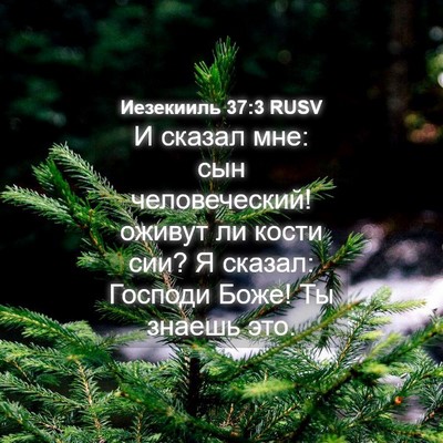 Picture 04 - Иезекииль 37:3 RUSV - И сказал мне: сын - Bible Verse Picture