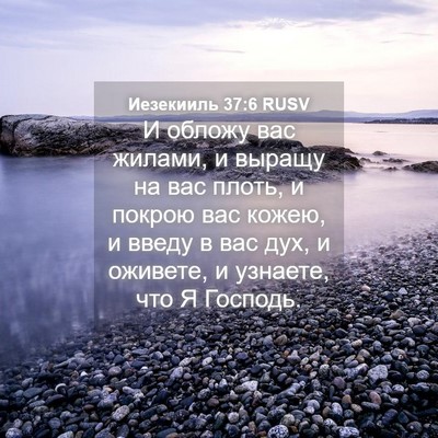 Picture 04 - Иезекииль 37:6 RUSV - И обложу вас жилами, и - Bible Verse Picture