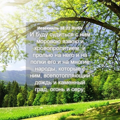 Picture 04 - Иезекииль 38:22 RUSV - И буду судиться с ним - Bible Verse Picture