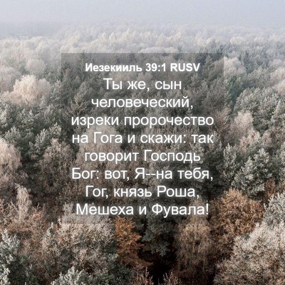 Picture 04 - Иезекииль 39:1 RUSV - Ты же, сын человеческий, - Bible Verse Picture