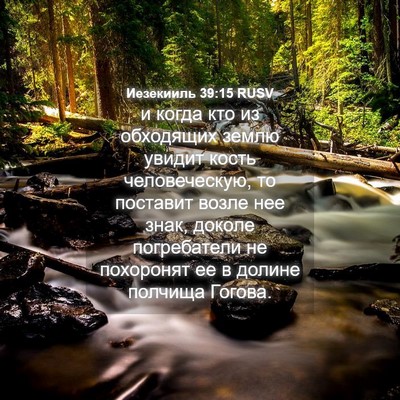 Picture 04 - Иезекииль 39:15 RUSV - и когда кто из обходящих - Bible Verse Picture