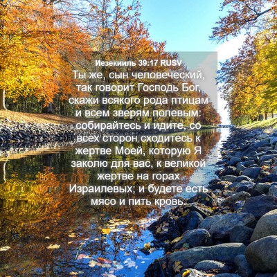 Picture 04 - Иезекииль 39:17 RUSV - Ты же, сын человеческий, - Bible Verse Picture
