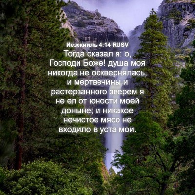 Picture 04 - Иезекииль 4:14 RUSV - Тогда сказал я: о, Господи - Bible Verse Picture