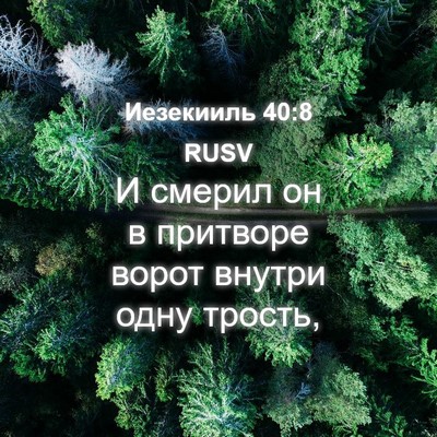 Picture 04 - Иезекииль 40:8 RUSV - И смерил он в притворе - Bible Verse Picture