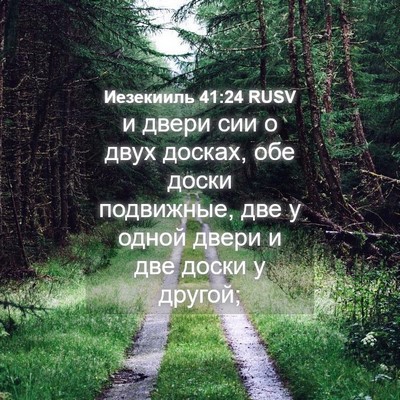 Picture 04 - Иезекииль 41:24 RUSV - и двери сии о двух досках, - Bible Verse Picture
