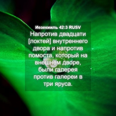 Picture 04 - Иезекииль 42:3 RUSV - Напротив двадцати [локтей] - Bible Verse Picture