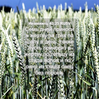 Picture 04 - Иезекииль 43:25 RUSV - Семь дней приноси в жертву - Bible Verse Picture