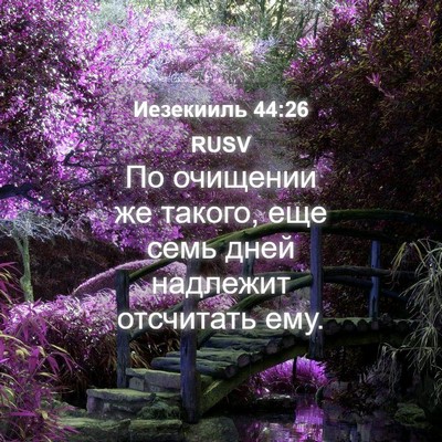 Picture 04 - Иезекииль 44:26 RUSV - По очищении же такого, еще - Bible Verse Picture