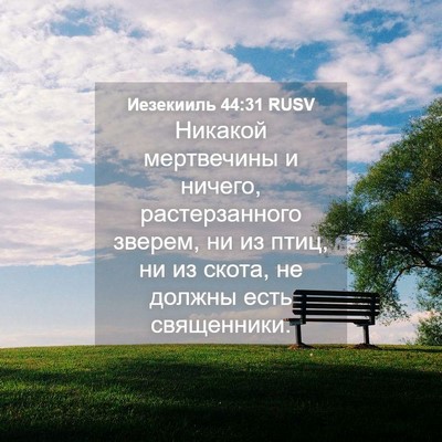 Picture 04 - Иезекииль 44:31 RUSV - Никакой мертвечины и - Bible Verse Picture