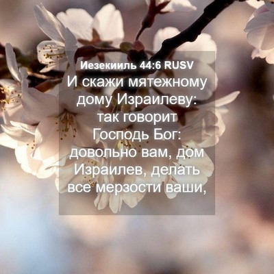 Picture 04 - Иезекииль 44:6 RUSV - И скажи мятежному дому - Bible Verse Picture