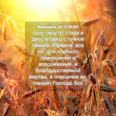 Picture 04 - Иезекииль 45:15 RUSV - одну овцу от стада в двести - Bible Verse Picture