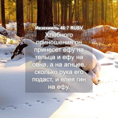 Picture 04 - Иезекииль 46:7 RUSV - Хлебного приношения он - Bible Verse Picture