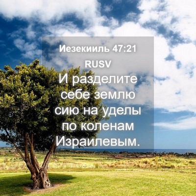 Picture 04 - Иезекииль 47:21 RUSV - И разделите себе землю сию - Bible Verse Picture