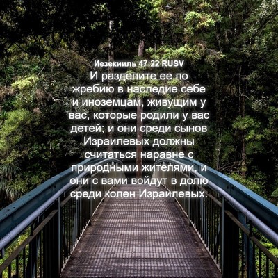Picture 04 - Иезекииль 47:22 RUSV - И разделите ее по жребию в - Bible Verse Picture