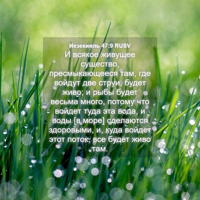 Picture 04 - Иезекииль 47:9 RUSV - И всякое живущее существо, - Bible Verse Picture