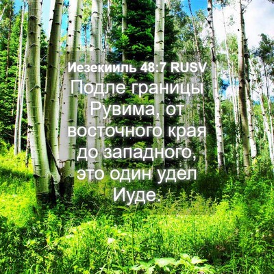 Picture 04 - Иезекииль 48:7 RUSV - Подле границы Рувима, от - Bible Verse Picture